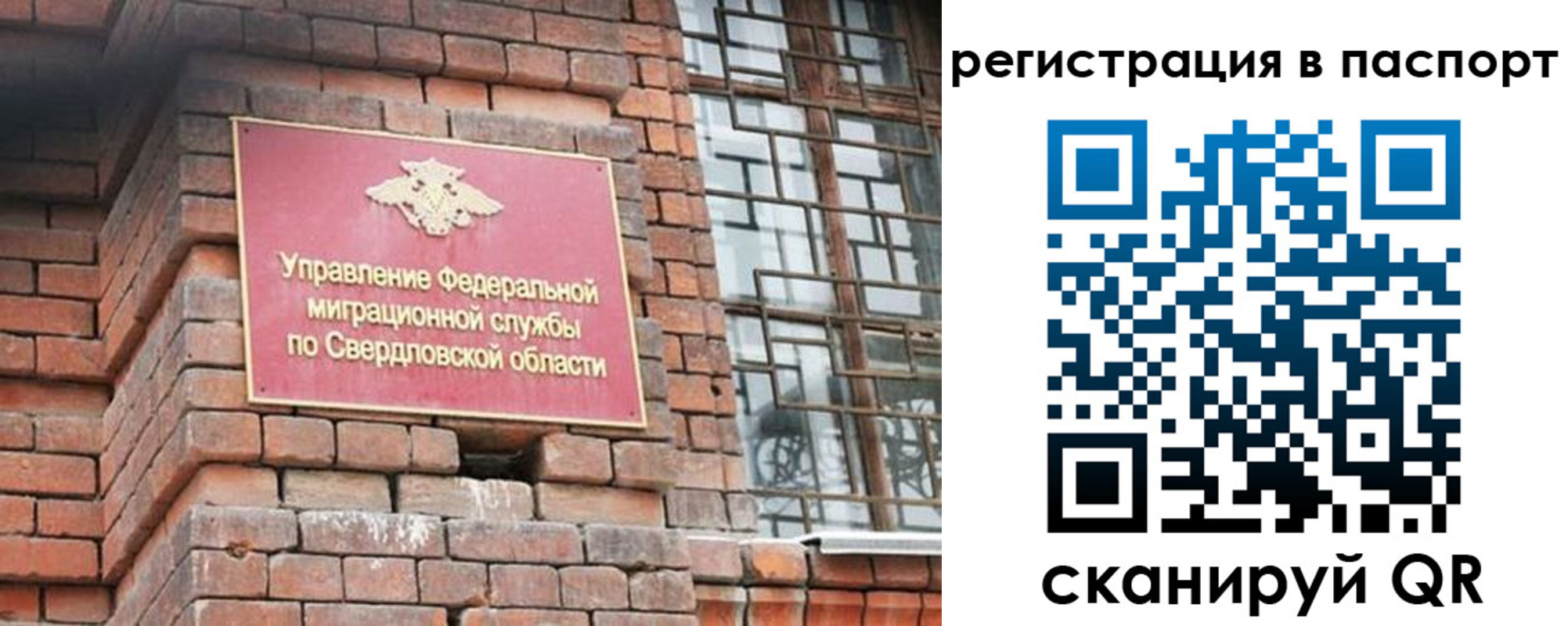 временная регистрация поиск в Биробиджане